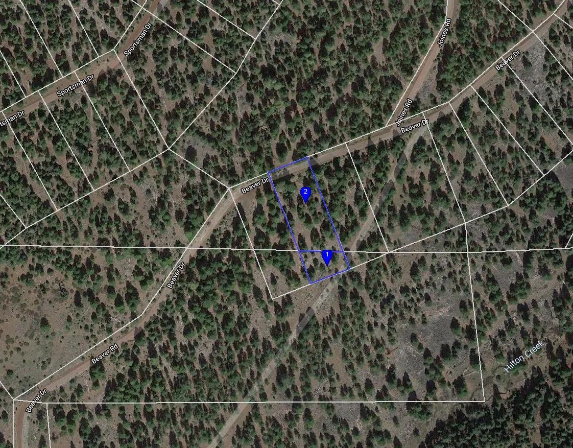 Decorative background for 1.15 Acre Lot in California Pines, Modoc CA image 5