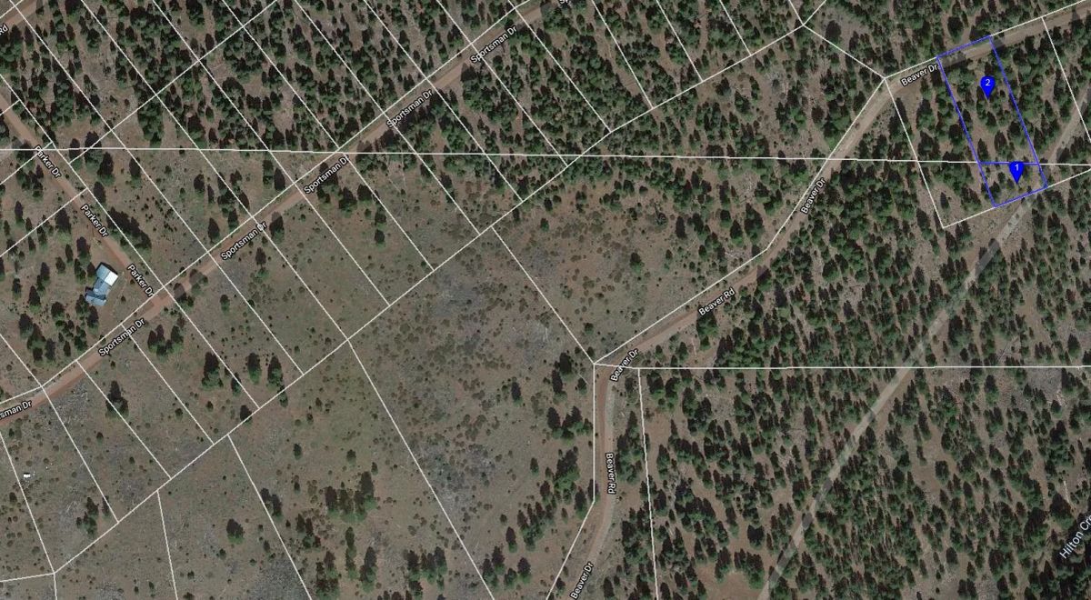 Decorative background for 1.15 Acre Lot in California Pines, Modoc CA image 6