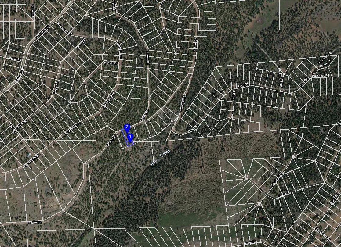 Decorative background for 1.15 Acre Lot in California Pines, Modoc CA image 7