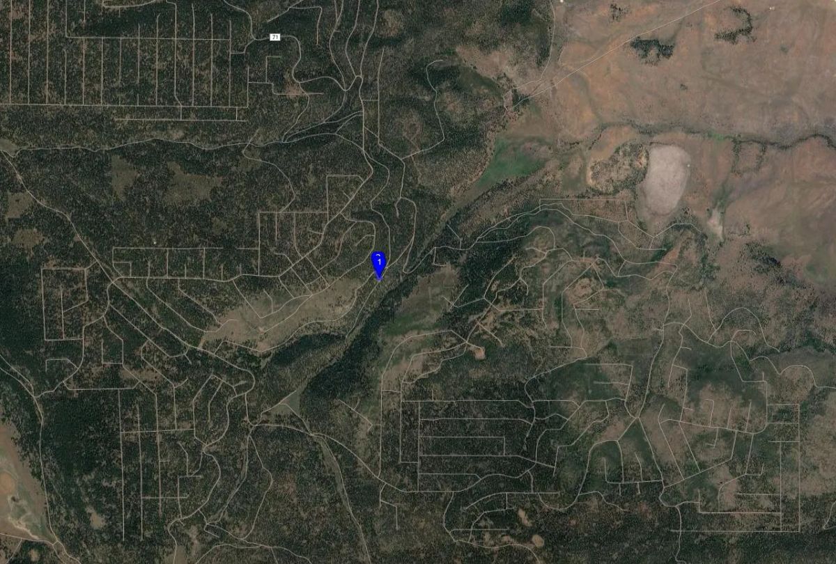 Decorative background for 1.15 Acre Lot in California Pines, Modoc CA image 8