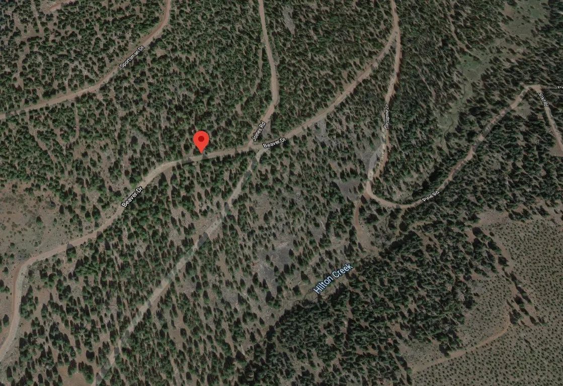 Decorative background for 1.15 Acre Lot in California Pines, Modoc CA image 10