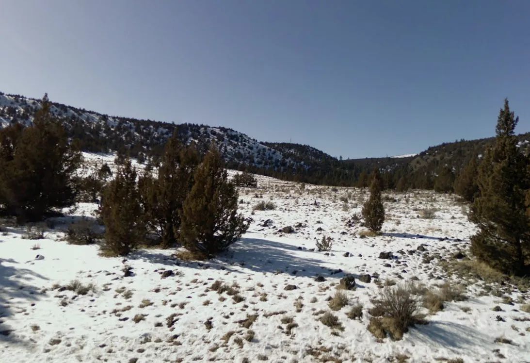1.15 Acre Lot in California Pines, Modoc CA - Main image