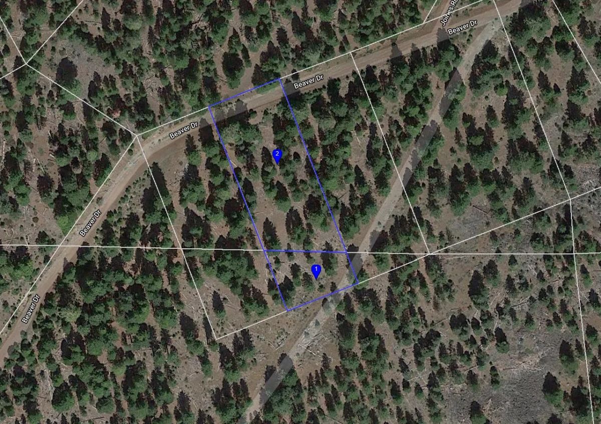 Decorative background for 1.15 Acre Lot in California Pines, Modoc CA image 12