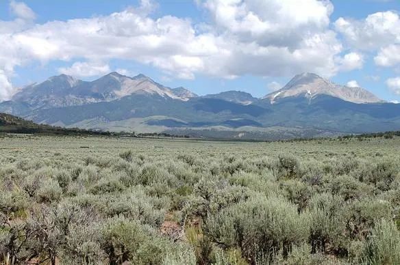 5 Rural Acres in the Top of the World Subdivision in Southern Colorado - Image 4