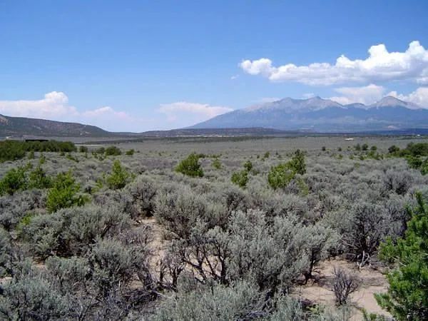 Decorative background for 5 Rural Acres in the Top of the World Subdivision in Southern Colorado image 5