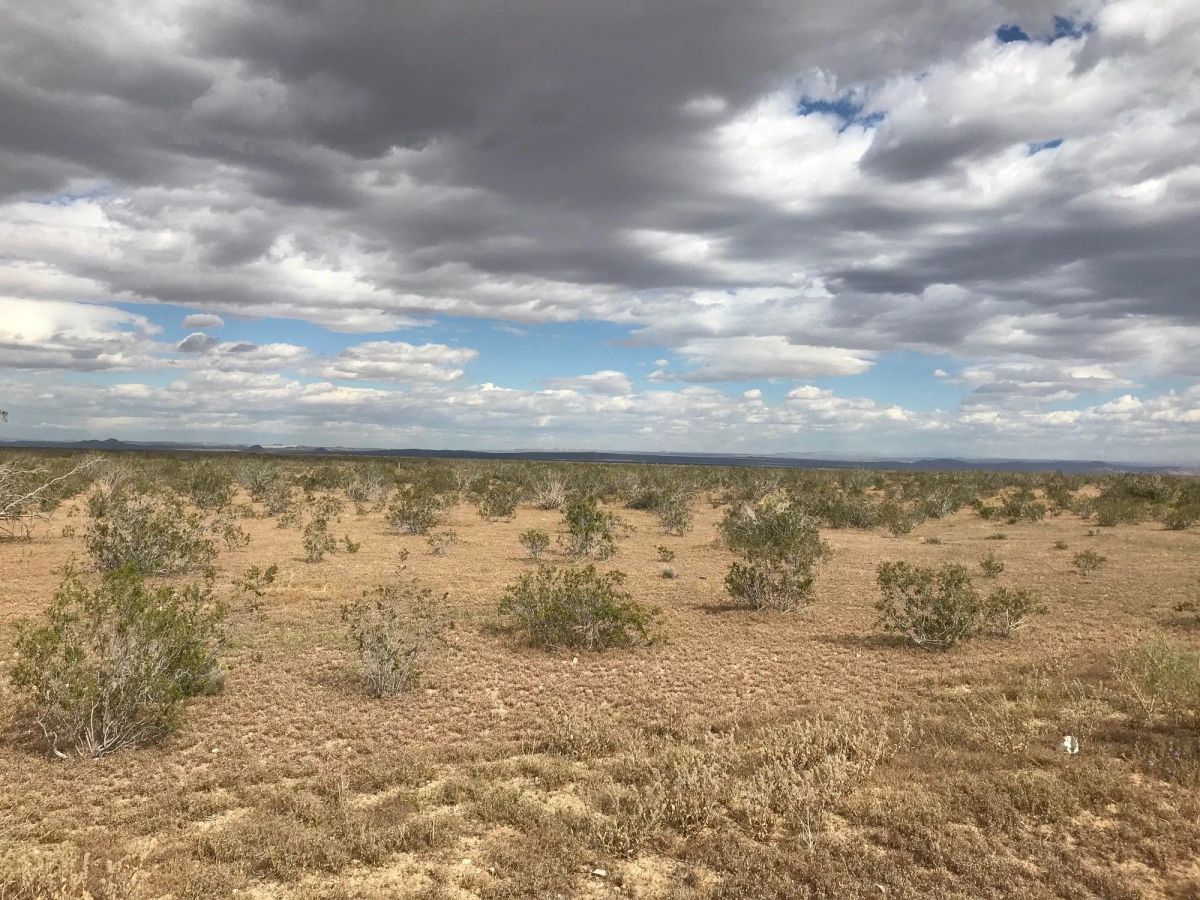 Decorative background for 2.54 Acres in Kern County, CA image 14