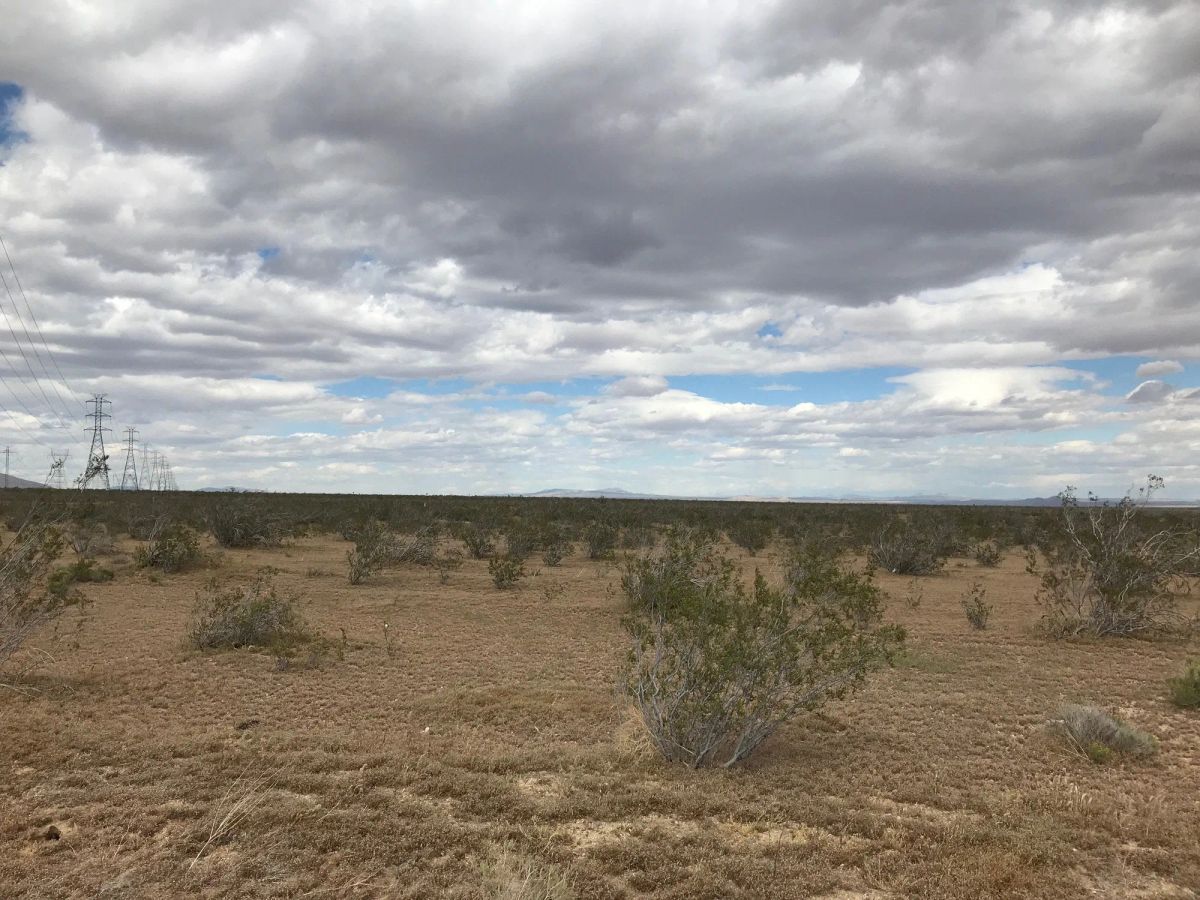 Decorative background for 2.54 Acres in Kern County, CA image 18
