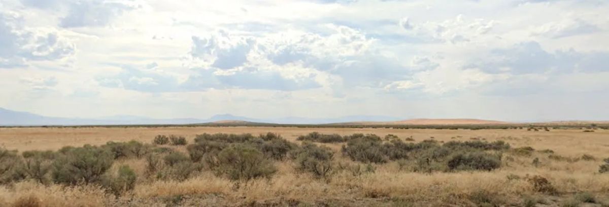 Decorative background for 39.66 Acres in Humboldt County, NV image 11