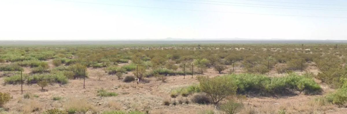 Decorative background for 10 Acres in Luna County, NM image 10