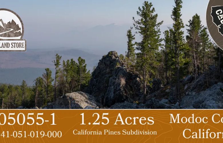 1.25 Acres in California Pines, Modoc CA in Modoc County, CA