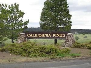 1.25 Acres in California Pines, Modoc CA in Modoc County, CA