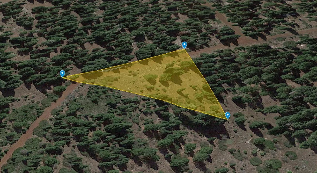 1.25 Acres in California Pines, Modoc CA in Modoc County, CA