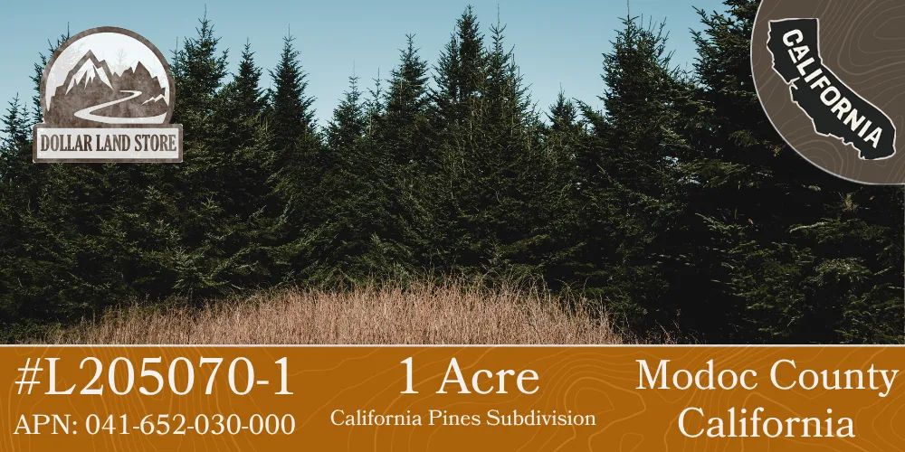 1.01 Acres in California Pines, Modoc CA - Main image