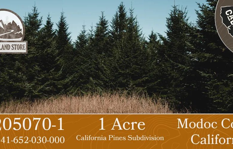 1.01 Acres in California Pines, Modoc CA in Modoc County, CA
