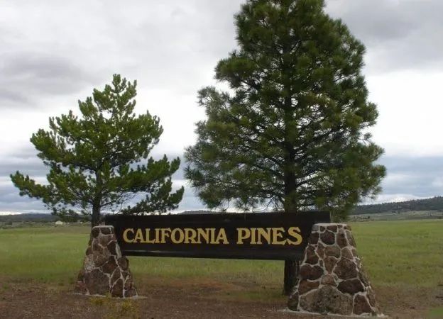 Decorative background for 1.01 Acres in California Pines, Modoc CA image 9