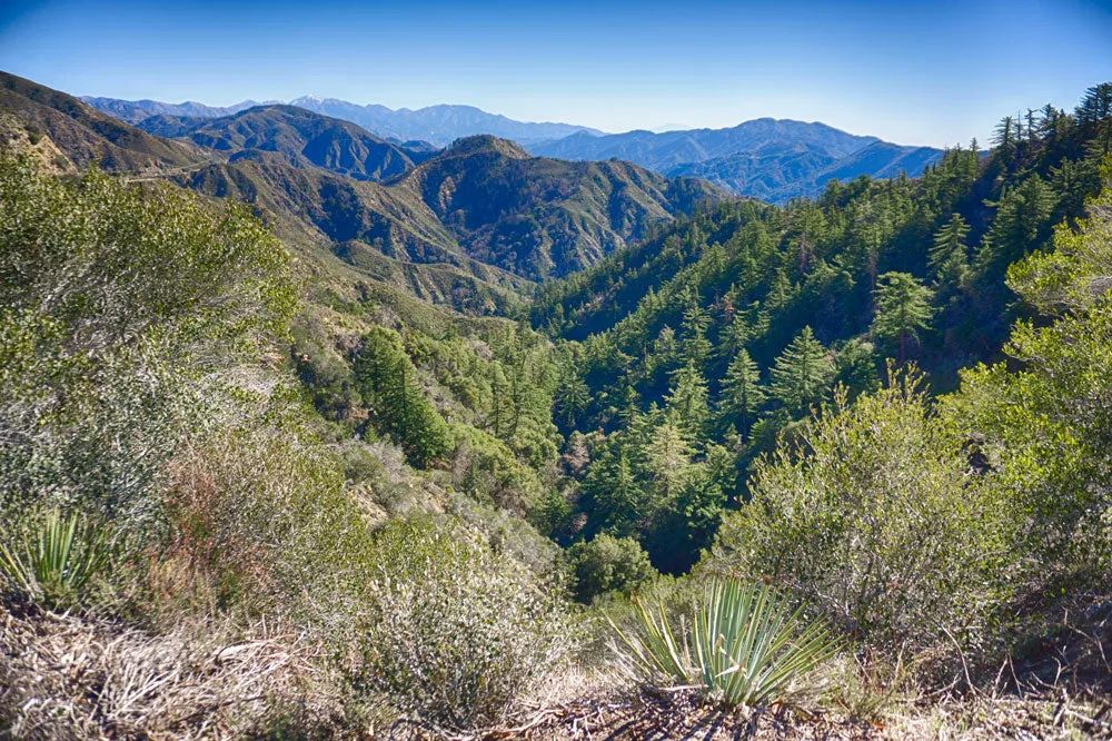 Decorative background for 1.01 Acres in California Pines, Modoc CA image 10
