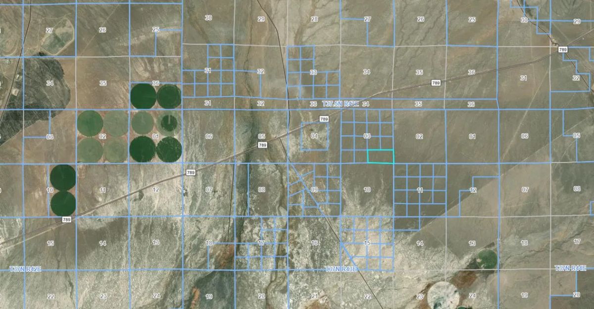 Decorative background for 80.90 Acres in Humboldt County, NV image 10