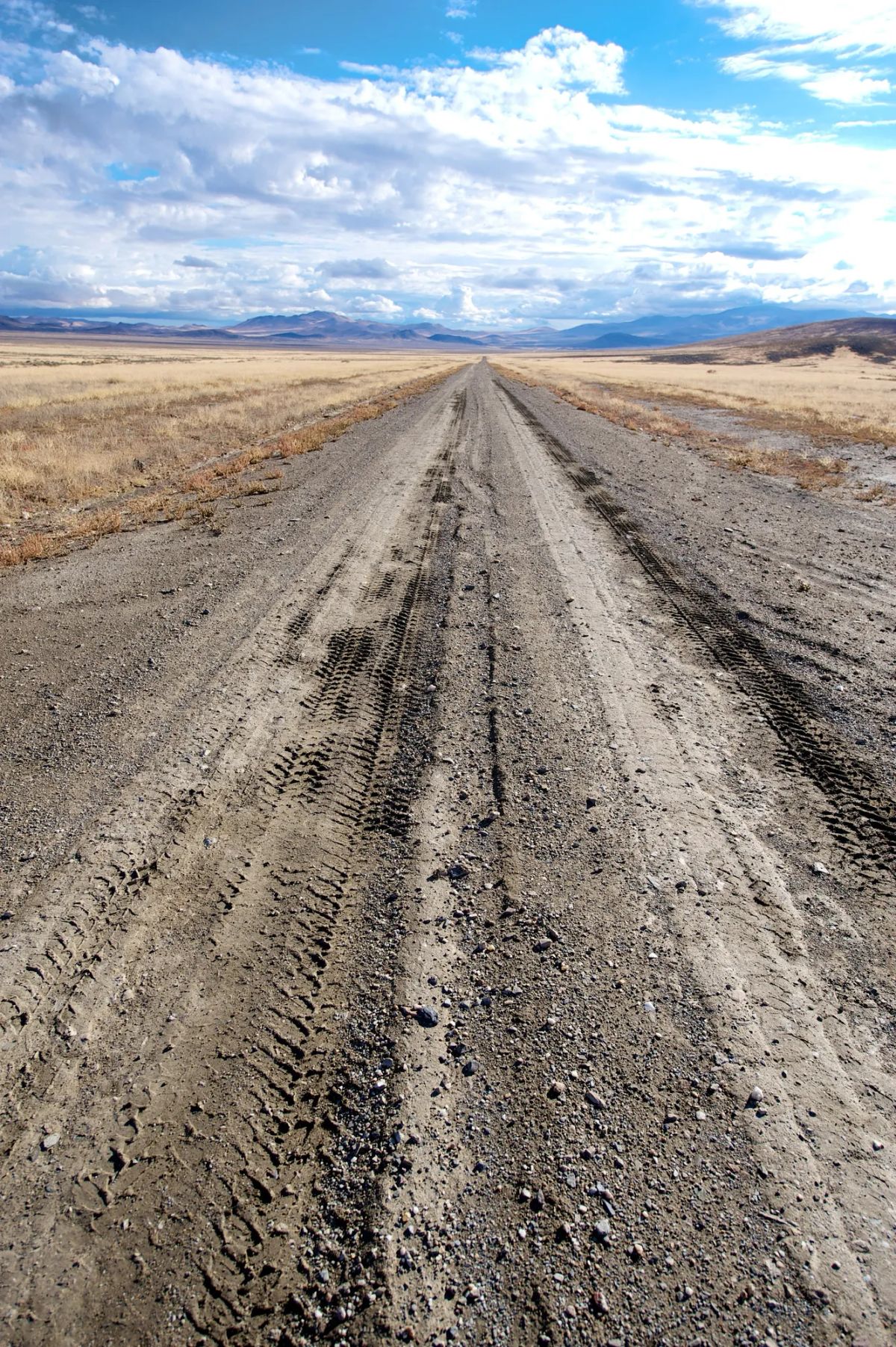 Decorative background for 42.18 Acres in Pershing County, Nevada image 17