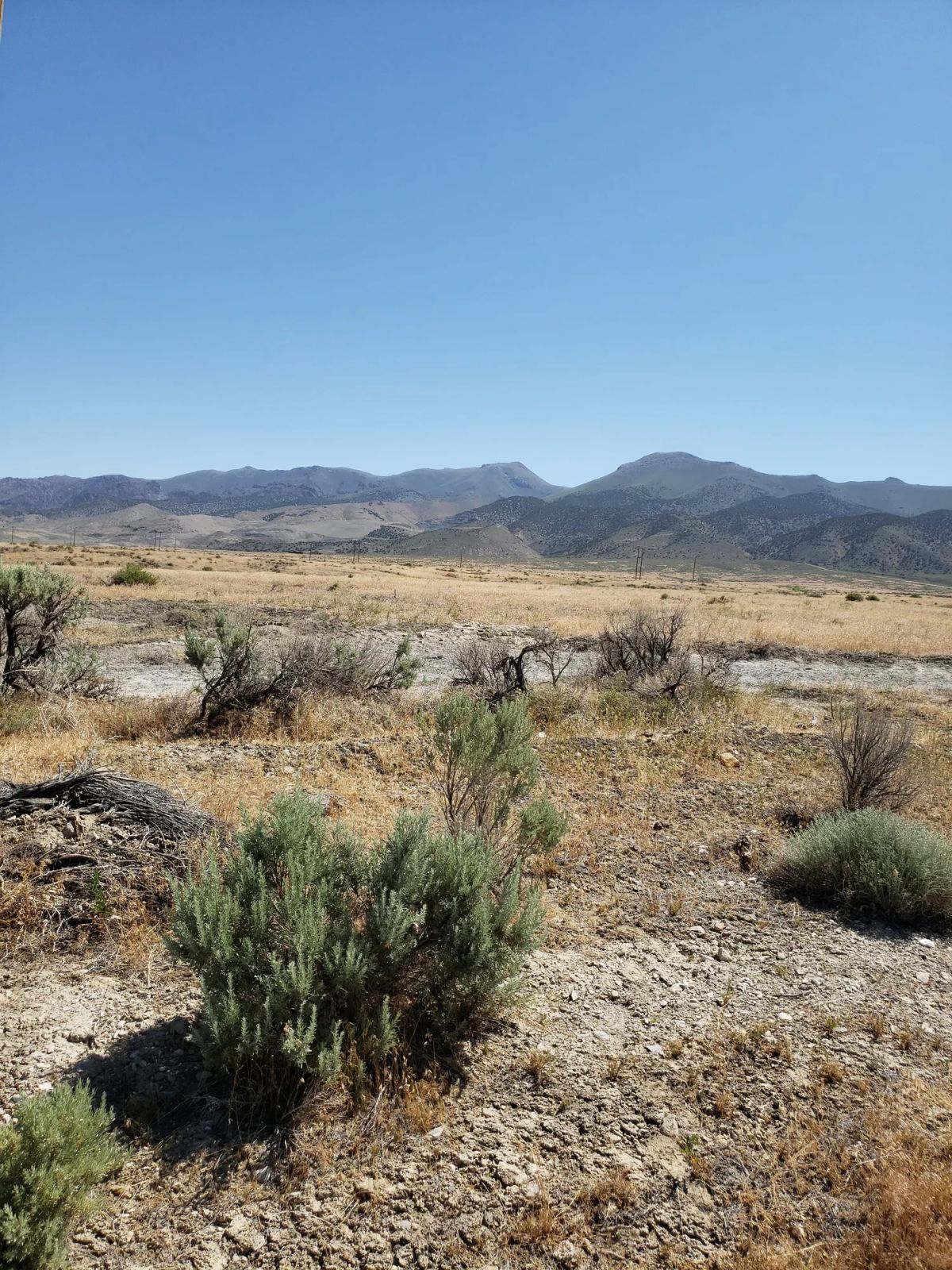 Decorative background for 42.18 Acres in Pershing County, Nevada image 18