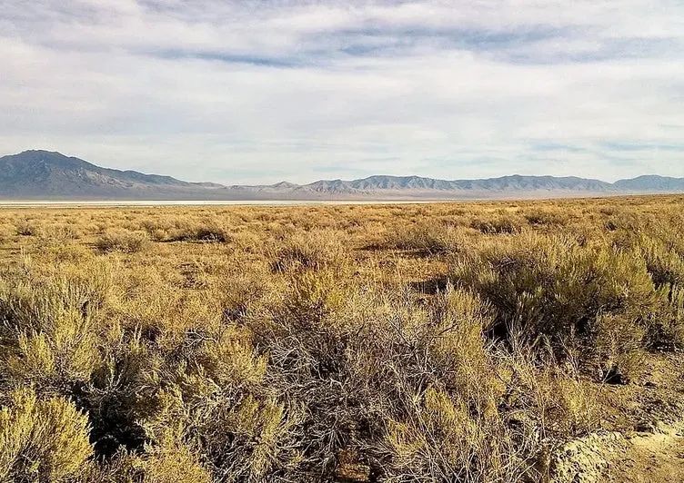 Decorative background for 42.18 Acres in Pershing County, Nevada image 22