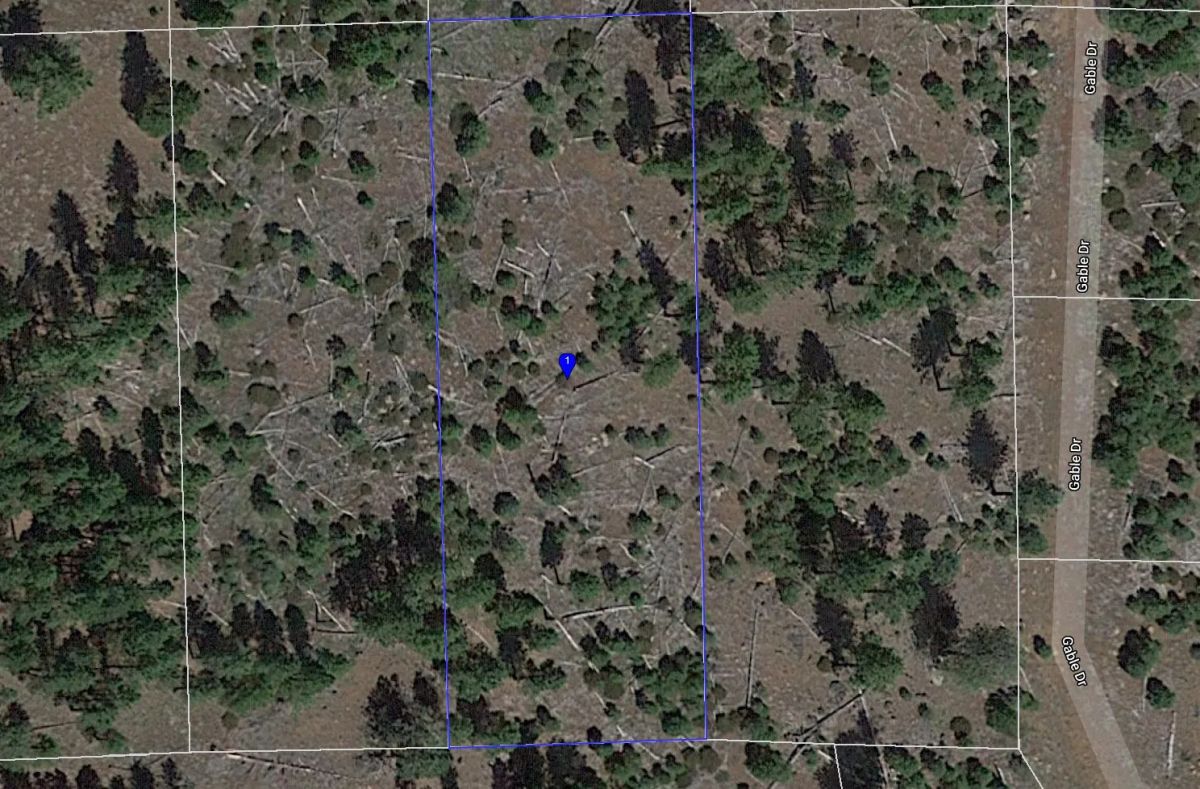 0.92 Acres in California Pines, Modoc CA - Image 4