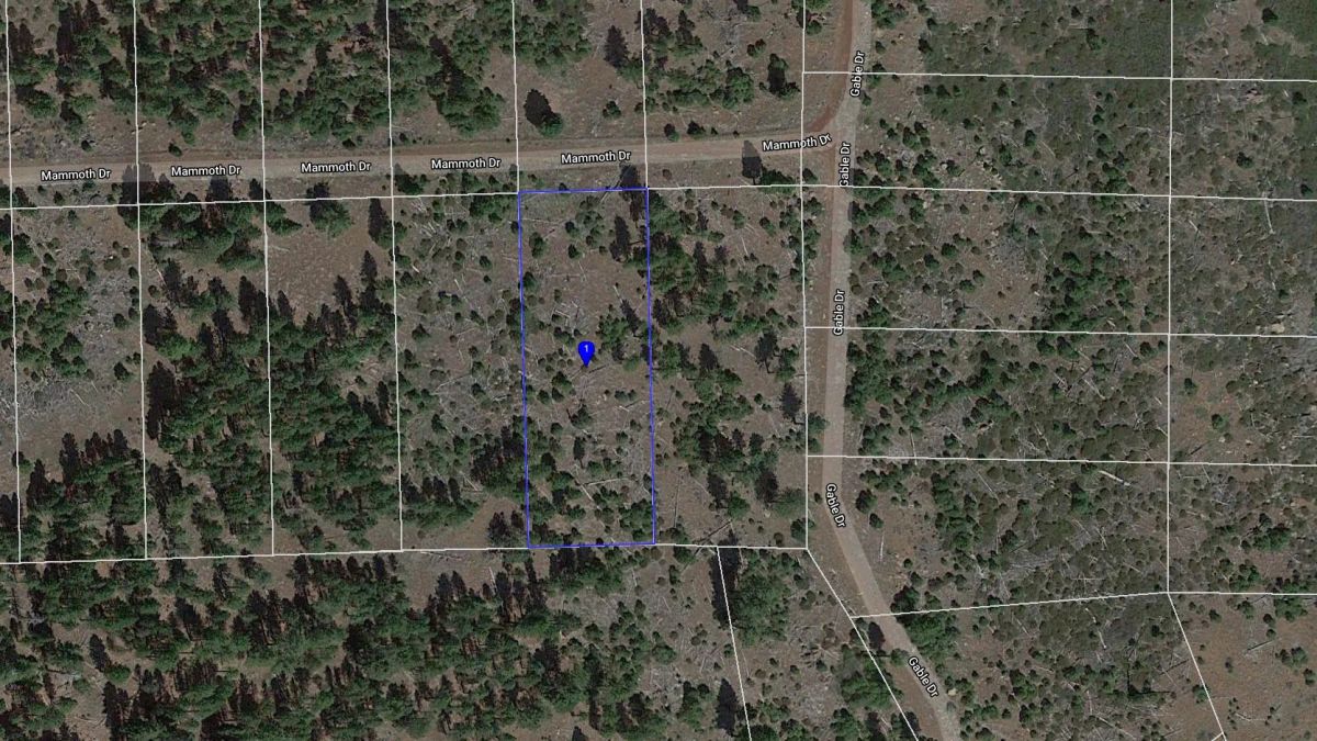 Decorative background for 0.92 Acres in California Pines, Modoc CA image 5