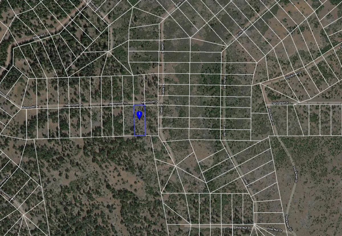 Decorative background for 0.92 Acres in California Pines, Modoc CA image 6