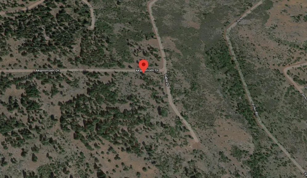 Decorative background for 0.92 Acres in California Pines, Modoc CA image 7