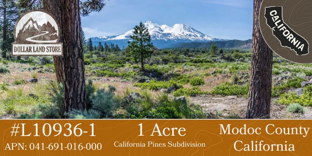 1 Acre in California Pines, Modoc CA