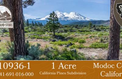1 Acre in California Pines, Modoc CA