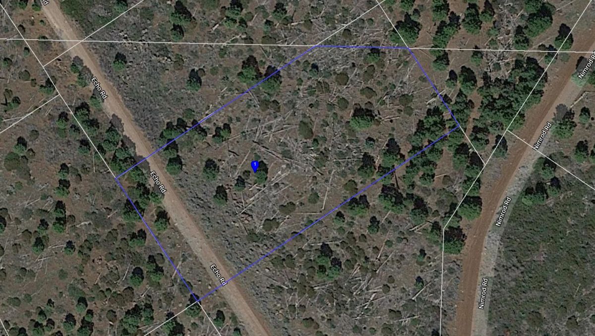 1 Acre in California Pines, Modoc CA - Image 4