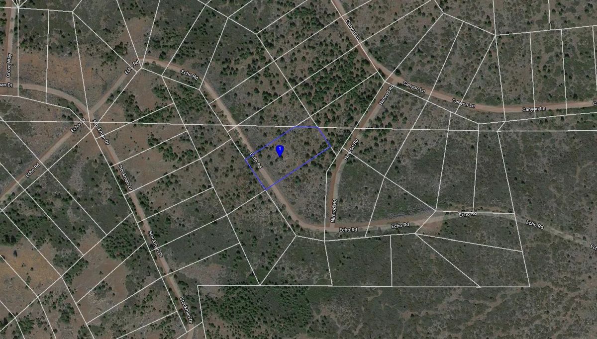 Decorative background for 1 Acre in California Pines, Modoc CA image 5