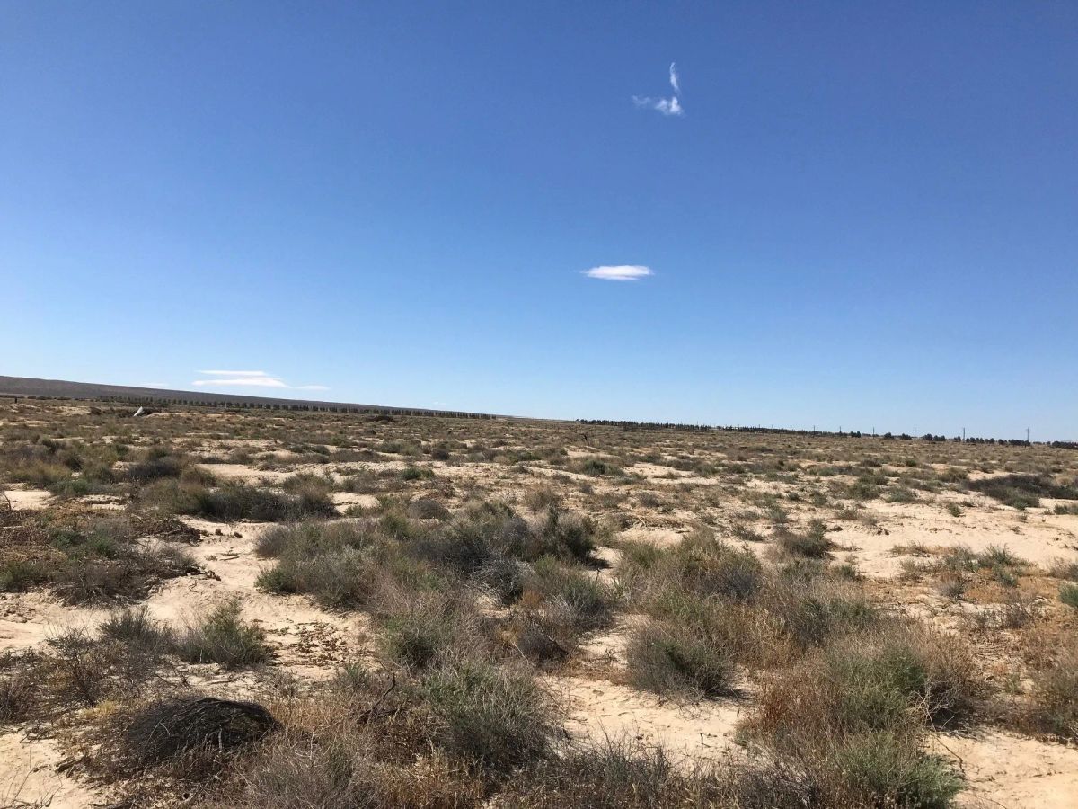 Decorative background for 20.22 Acres in Kern County, CA image 9