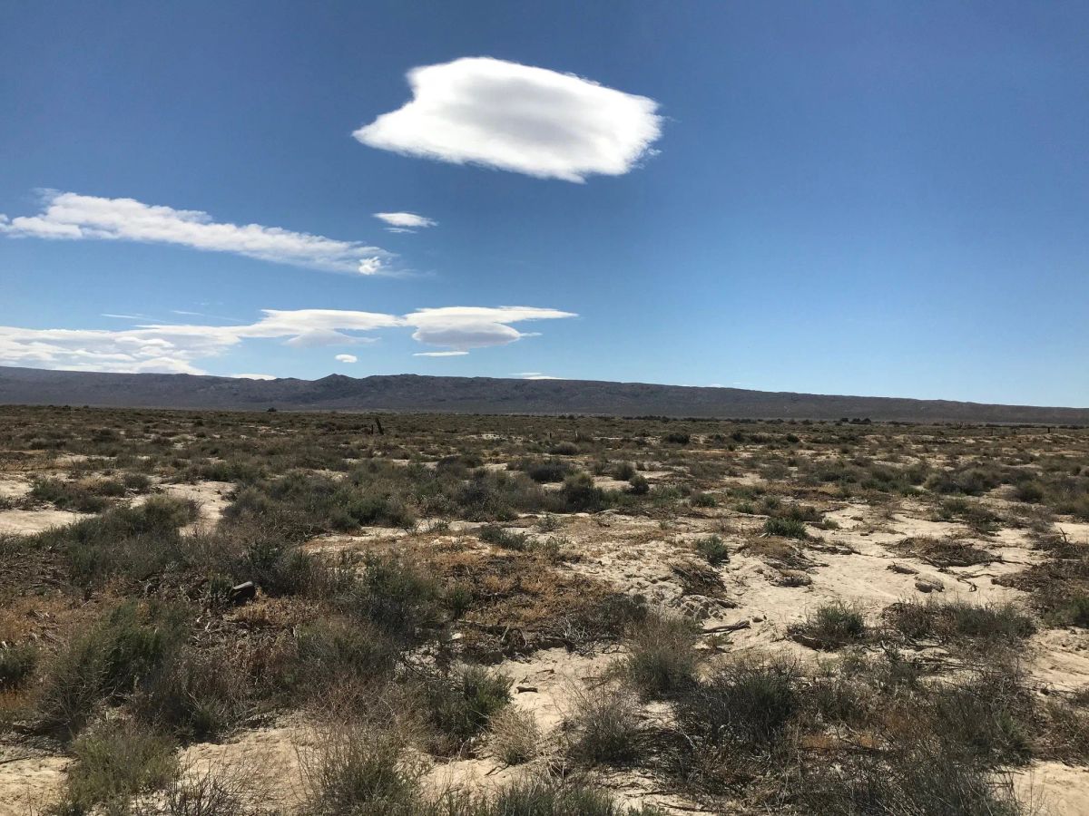 Decorative background for 20.22 Acres in Kern County, CA image 10