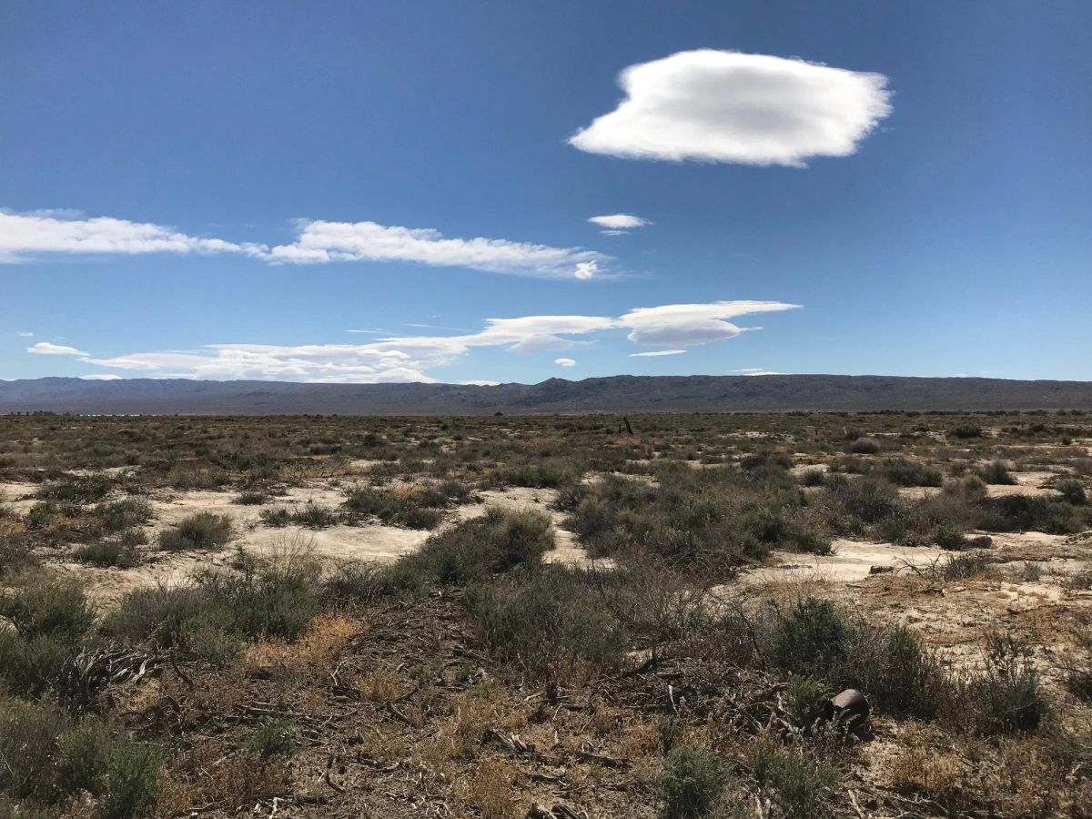 Decorative background for 20.22 Acres in Kern County, CA image 11