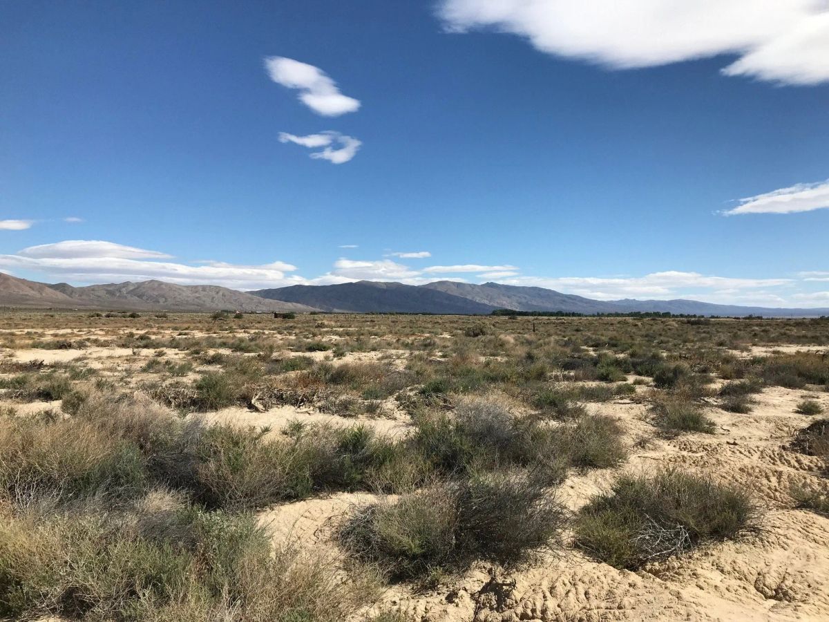 Decorative background for 20.22 Acres in Kern County, CA image 12