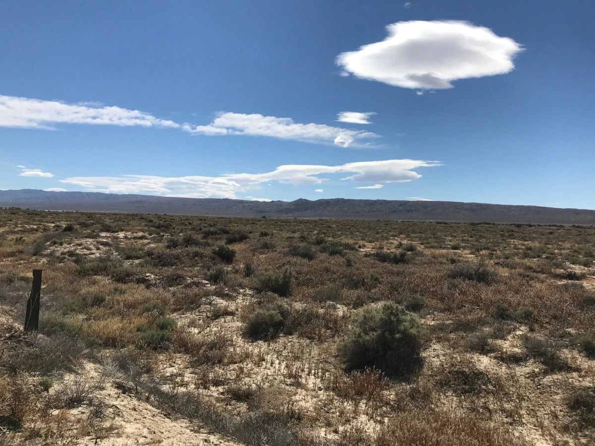 Decorative background for 20.22 Acres in Kern County, CA image 13