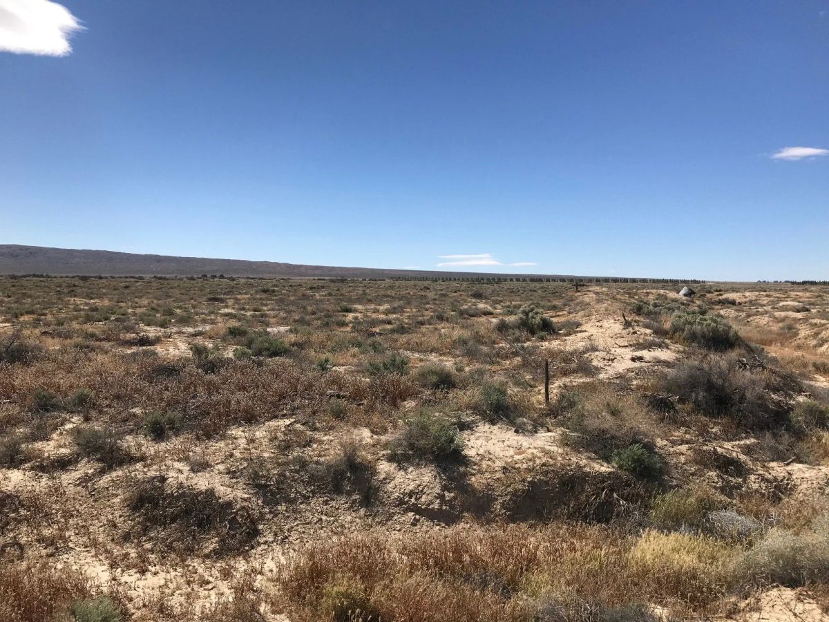 Decorative background for 20.22 Acres in Kern County, CA image 14