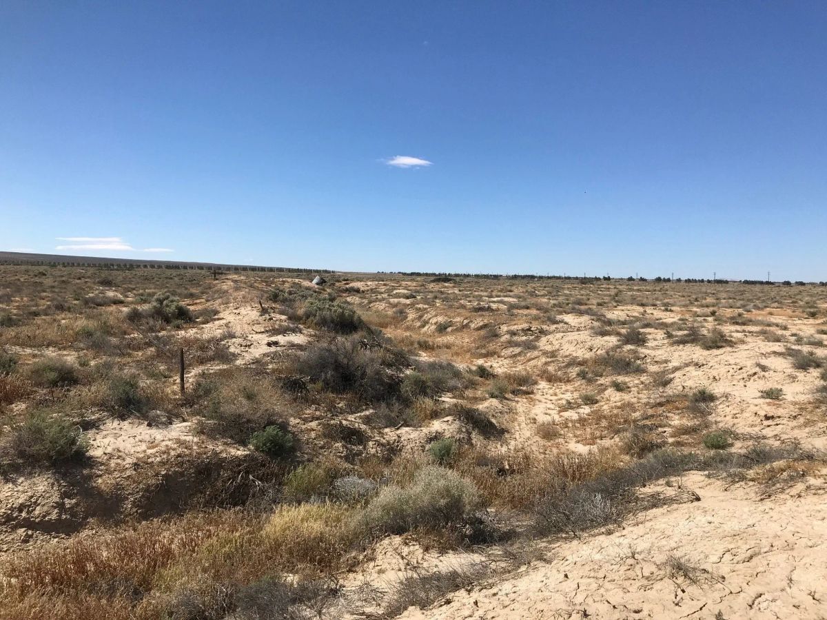 Decorative background for 20.22 Acres in Kern County, CA image 15
