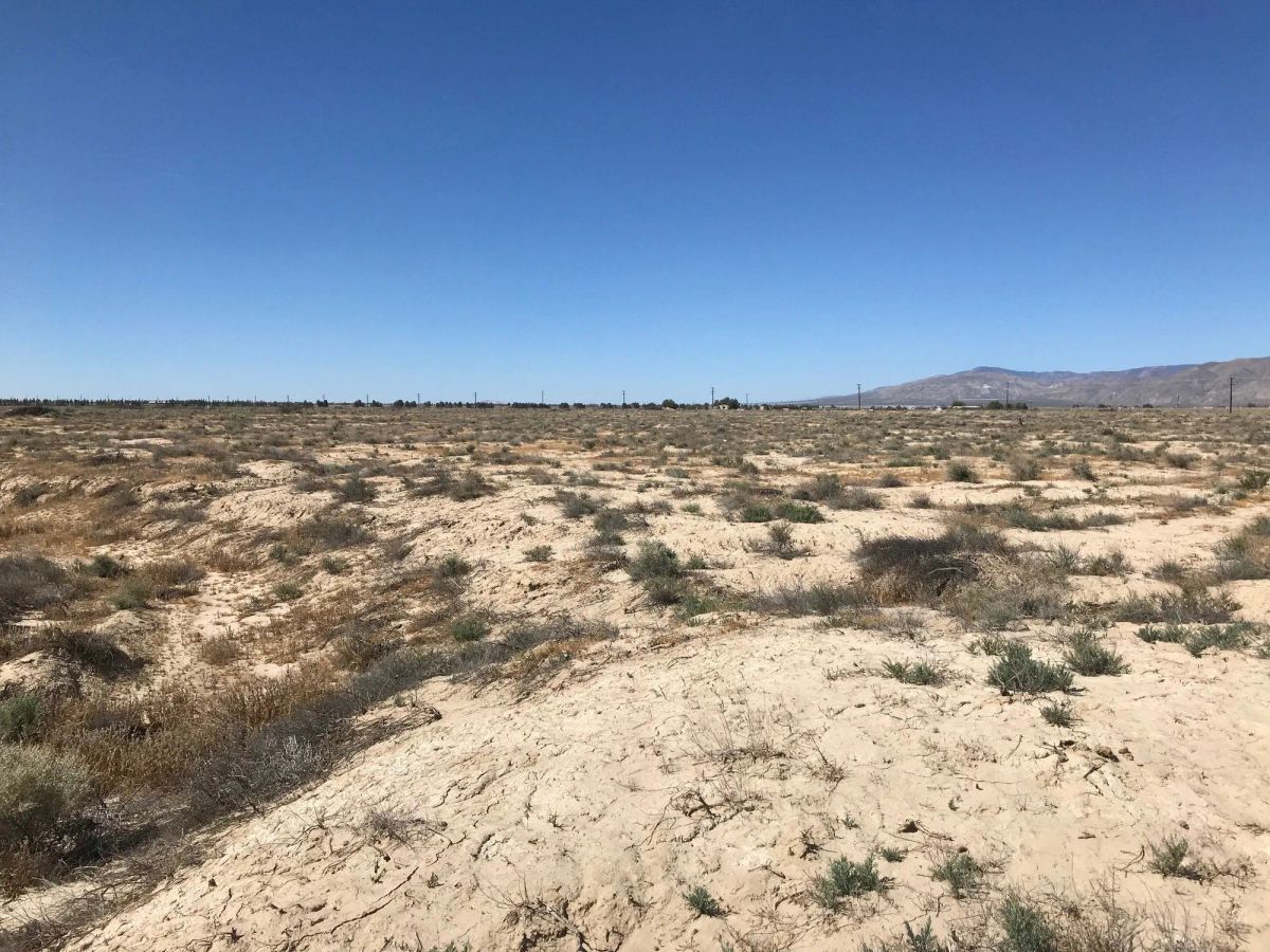 Decorative background for 20.22 Acres in Kern County, CA image 16