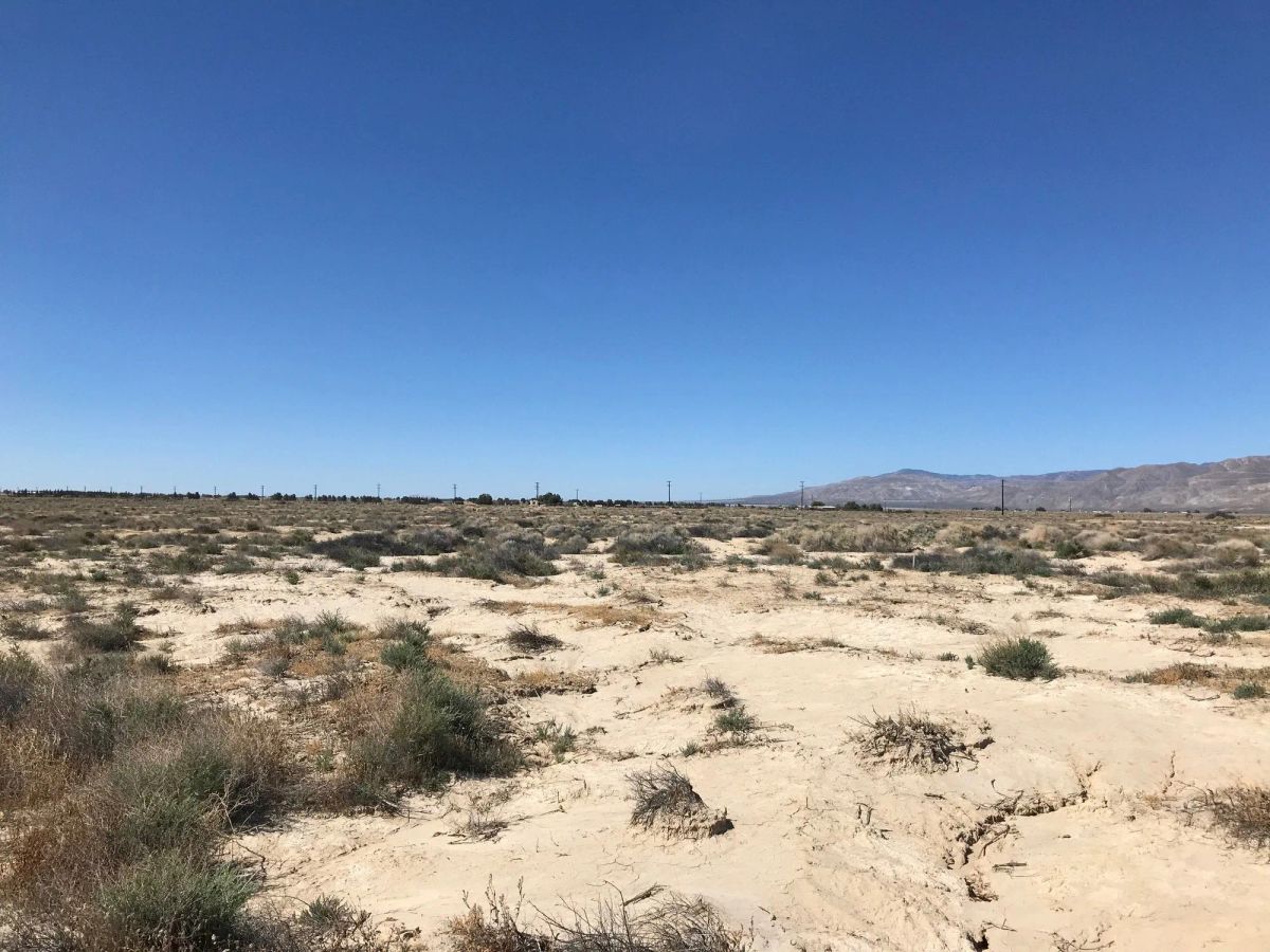 Decorative background for 20.22 Acres in Kern County, CA image 17