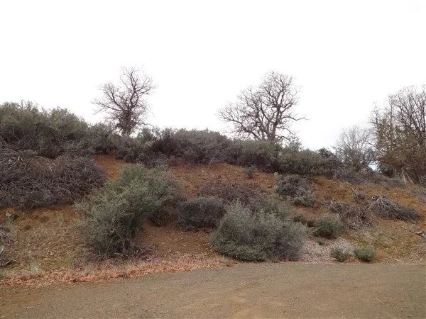 1.10 Acres in KCRE feet from the Klamath River, Siskiyou County, CA in Siskiyou County, CA