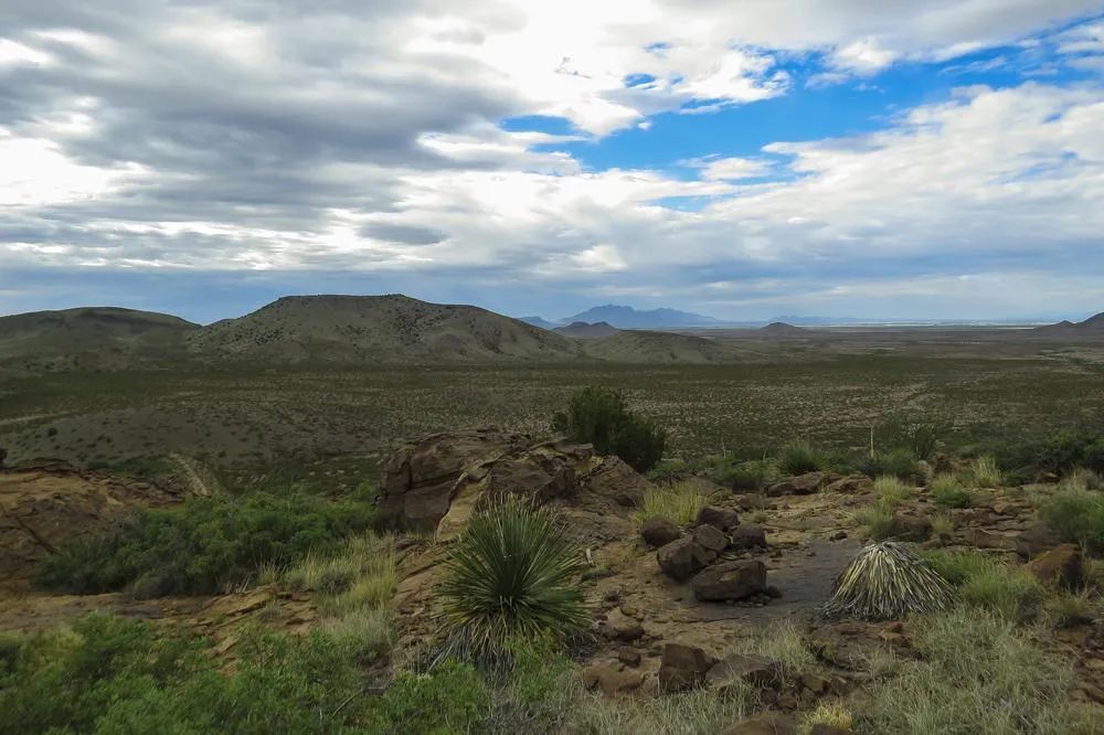 Decorative background for 10 Acres in Luna County, NM image 12