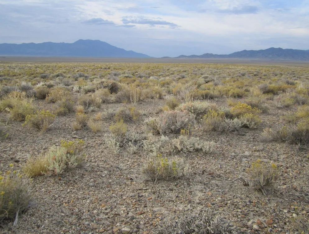 Decorative background for 2.06 Acres in Elko County, Nevada image 16