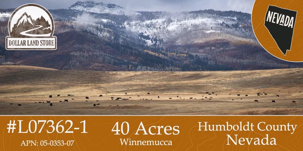 39.61 Acres in Humboldt County, NV in Humboldt County, NV