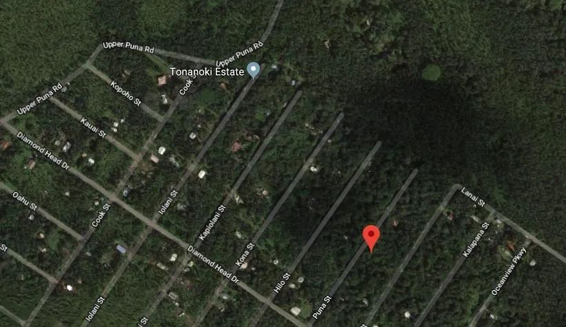 Decorative background for 3 Miles from the Pacific Ocean, Puna St., Pahoa, HI image 9