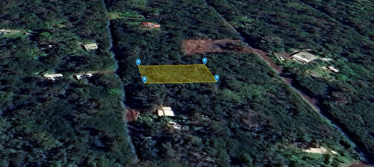 Decorative background for 3 Miles from the Pacific Ocean, Puna St., Pahoa, HI image 11