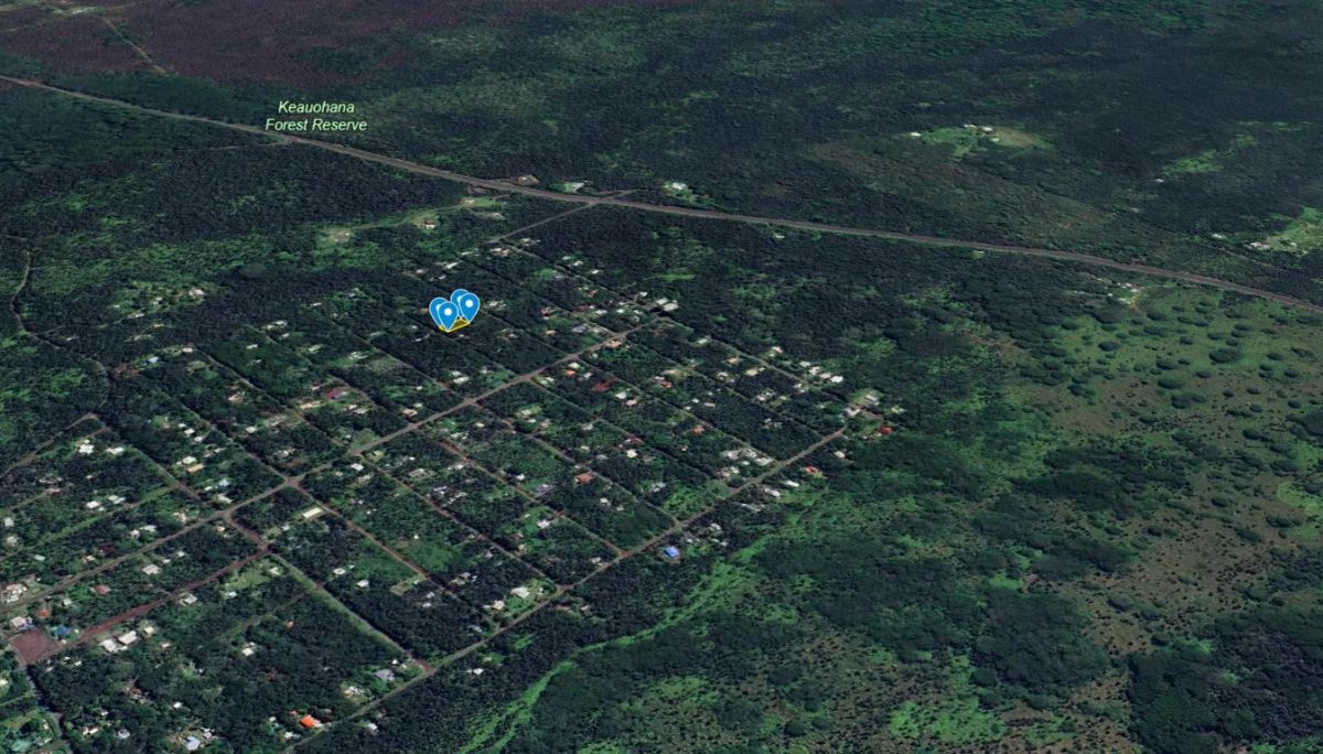 Decorative background for 3 Miles from the Pacific Ocean, Puna St., Pahoa, HI image 13