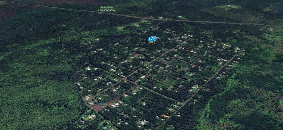 Decorative background for 3 Miles from the Pacific Ocean, Puna St., Pahoa, HI image 15