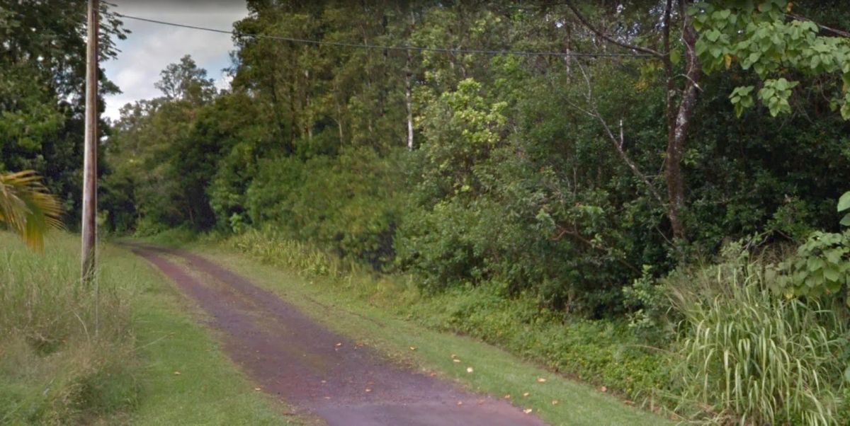 Decorative background for 3 Miles from the Pacific Ocean, Puna St., Pahoa, HI image 16